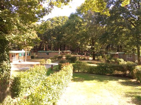 Camping OAKi - Camping Vendée - Image N°21