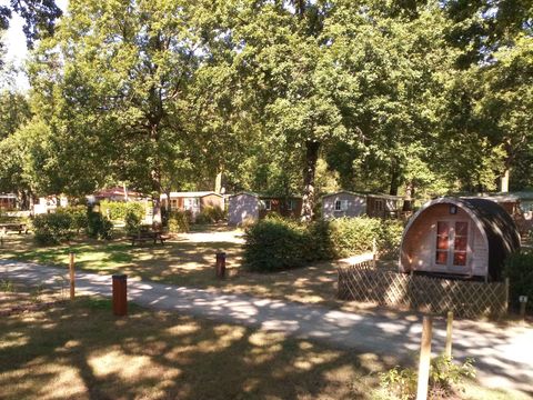 Camping OAKi - Camping Vendée - Image N°26