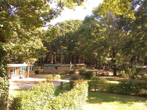 Camping OAKi - Camping Vendée - Image N°24