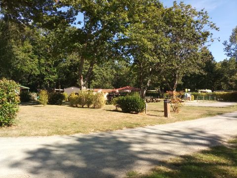 Camping OAKi - Camping Vendée - Image N°20