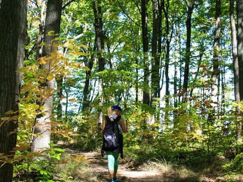 Camping OAKi - Camping Vendée - Image N°14