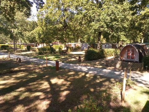 Camping OAKi - Camping Vendée - Image N°22