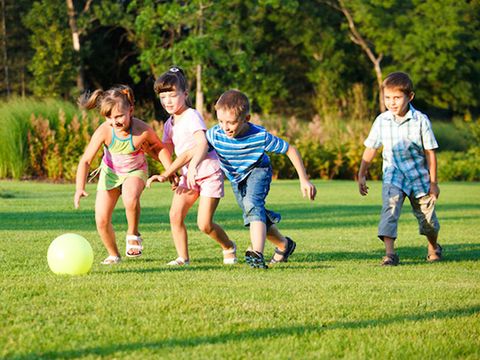 Camping La Forêt  - Camping Hautes-Pyrénées - Image N°20