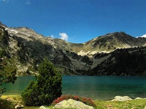 Camping La Forêt  - Camping Hautes-Pyrénées - Image N°39