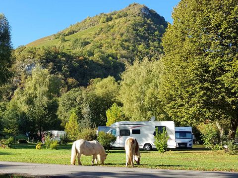 Camping La Forêt  - Camping Hautes-Pyrénées - Image N°9