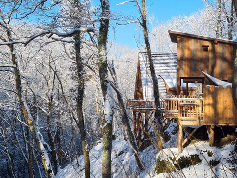 Camping La Forêt  - Camping Hautes-Pyrénées - Image N°41