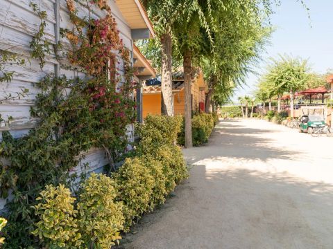 Camping Del Mar - Camping Barcelone - Image N°22