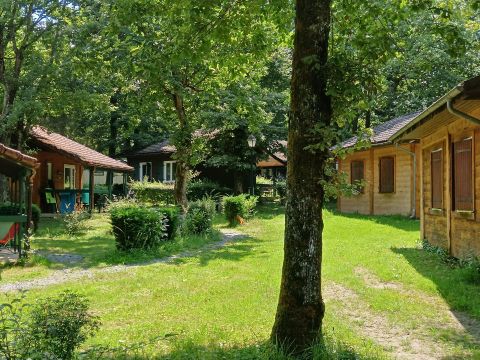 Camping Relais du Léman Pausado - Camping Haute-Savoie - Image N°19