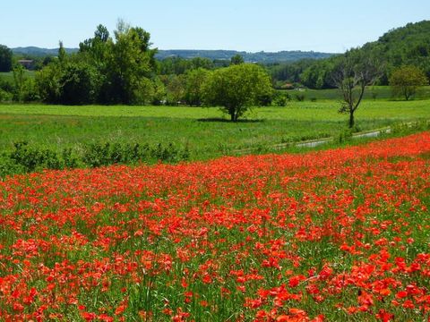 Camping Durance Luberon - Camping Bouches-du-Rhône - Image N°70
