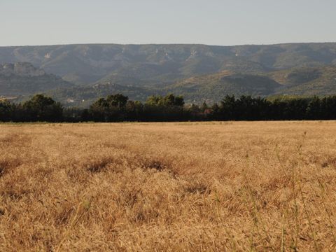 Camping Durance Luberon - Camping Bouches-du-Rhône - Image N°75