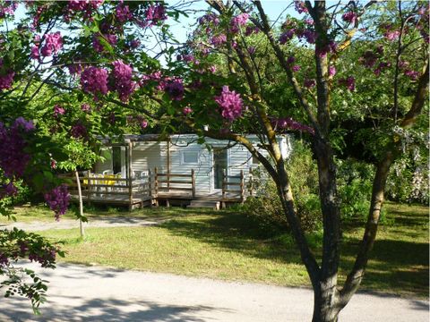 Camping Durance Luberon - Camping Bouches-du-Rhône - Image N°36