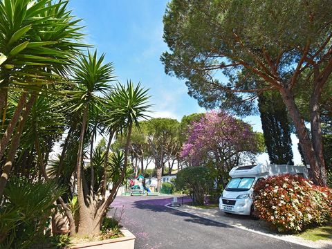 Camping Les Cigales - Camping Alpes-Maritimes - Image N°3