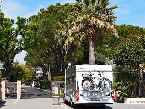 Camping Les Cigales - Camping Alpes-Maritimes - Image N°5