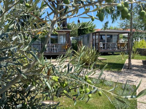 Camping Les Cigales - Camping Alpes-Maritimes - Image N°10