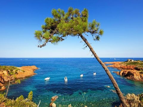 Camping La Provençale - Camping Alpes-Maritimes - Image N°41