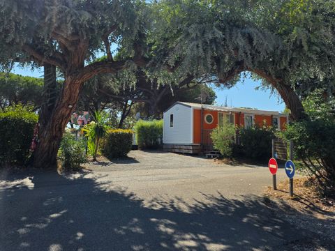 Mobilhome 6 personnes - Tanneron - 3 chambres avec climatisation