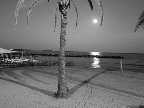 Camping La Provençale - Camping Alpes-Maritimes - Image N°39