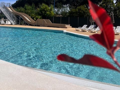 Camping La Provençale - Camping Alpes-Maritimes - Image N°2