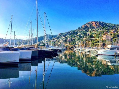 Camping La Provençale - Camping Alpes-Maritimes - Image N°42