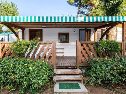 Pineta Family Camping Village - Camping Ravenne - Image N°23