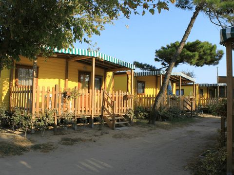 Pineta Family Camping Village - Camping Ravenne - Image N°22