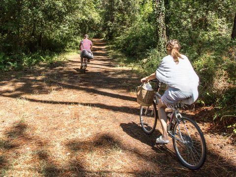 Pineta Family Camping Village - Camping Ravenne - Image N°29