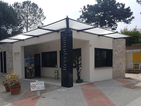 Pineta Family Camping Village - Camping Ravenne - Image N°18