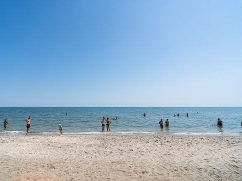 Pineta Family Camping Village - Camping Ravenne - Image N°2