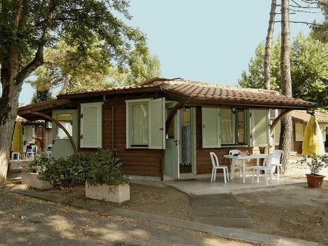 Pineta Family Camping Village - Camping Ravenne - Image N°26