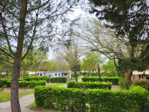 Camping Le Val de Cesse - Camping Aude - Image N°31