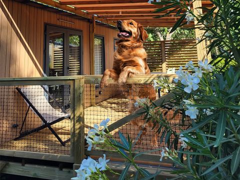 MOBILHOME 6 personnes - PREMIUM 32m² - 3 chambres - TV - lave-vaisselle - climatisation - terrasse -