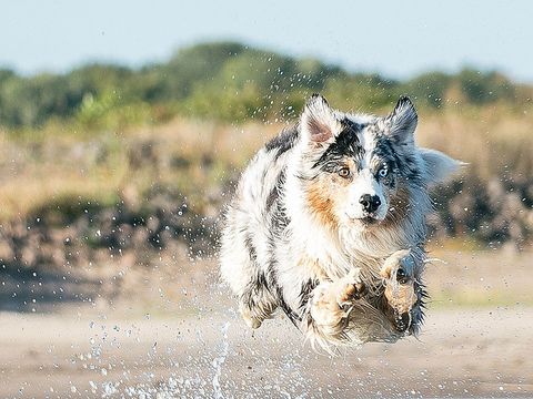 Camping Le Val de Cesse - Camping Aude - Image N°34