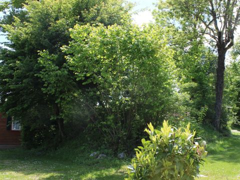 MOBILHOME 4 personnes - VIOLETTE