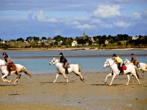Camping de La Grande Lande - Camping Finistère - Image N°18