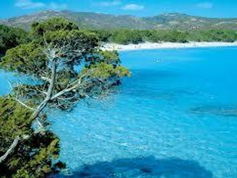 Camping E Canicce - Camping Corse du Nord - Image N°34