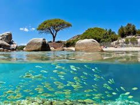 Camping E Canicce - Camping Corse du Nord - Image N°40