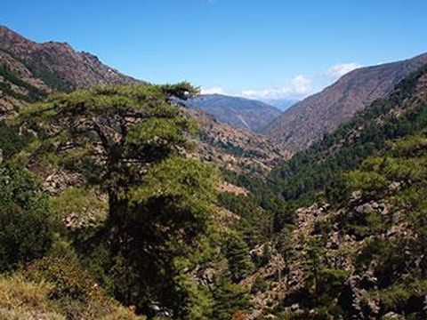 Camping E Canicce - Camping Corse du Nord - Image N°66