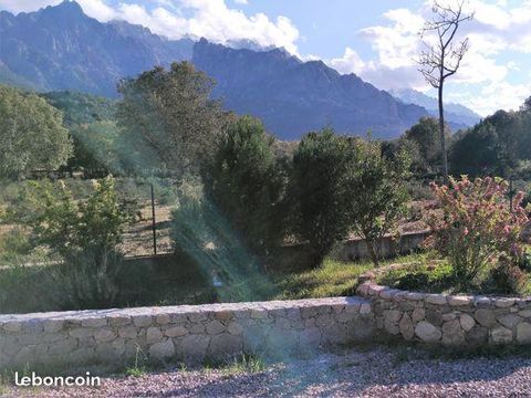 Camping E Canicce - Camping Corse du Nord - Image N°29