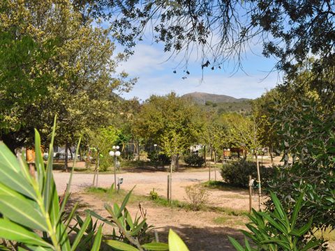 Camping E Canicce - Camping Corse du Nord - Image N°13