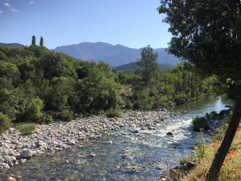 Camping E Canicce - Camping Corse du Nord - Image N°11