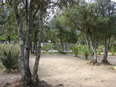 Camping E Canicce - Camping Corse du Nord - Image N°46