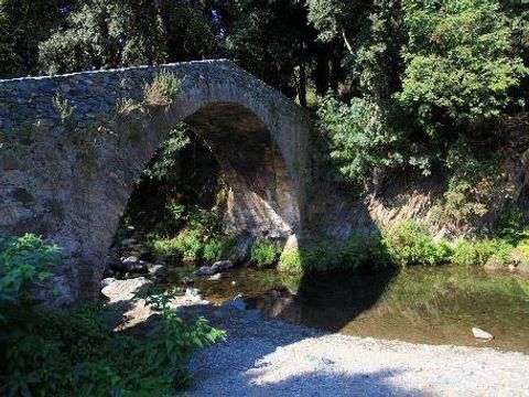 Camping E Canicce - Camping Corse du Nord - Image N°47