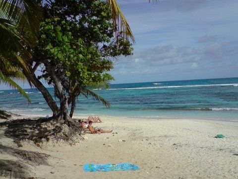 Camping E Canicce - Camping Corse du Nord - Image N°32