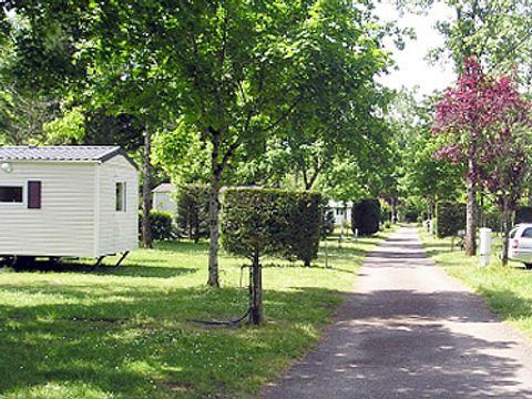 Camping Le Saulou - Camping Corrèze - Image N°8