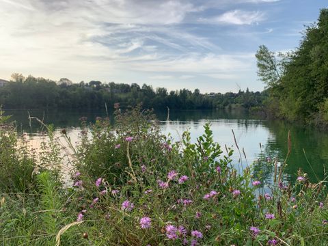 Camping Les Hameaux Des Lacs - Camping Tarn-et-Garonne - Image N°27