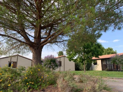 Camping Les Hameaux Des Lacs - Camping Tarn-et-Garonne - Image N°29