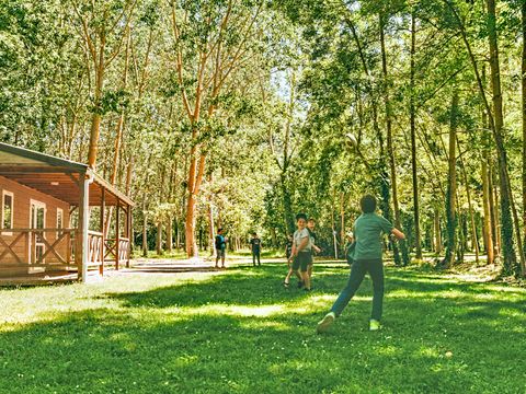 Moncontour Active Park - Camping Vienne - Image N°20