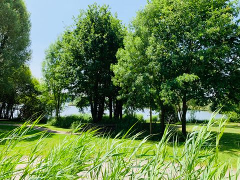 Natura Resort Pescalis - Camping Deux-Sèvres - Image N°23