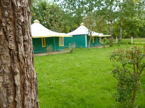 BUNGALOW TOILÉ 5 personnes - KIWI Sans sanitaires