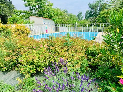 Camping Le Mouliat - Camping Lot-et-Garonne - Image N°14